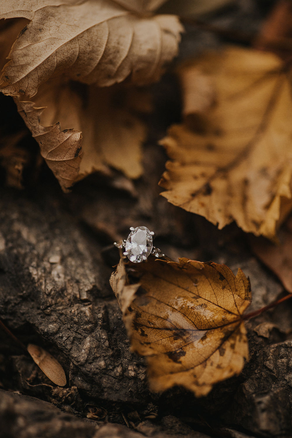 Fall Engagement ring surrounded in leaves