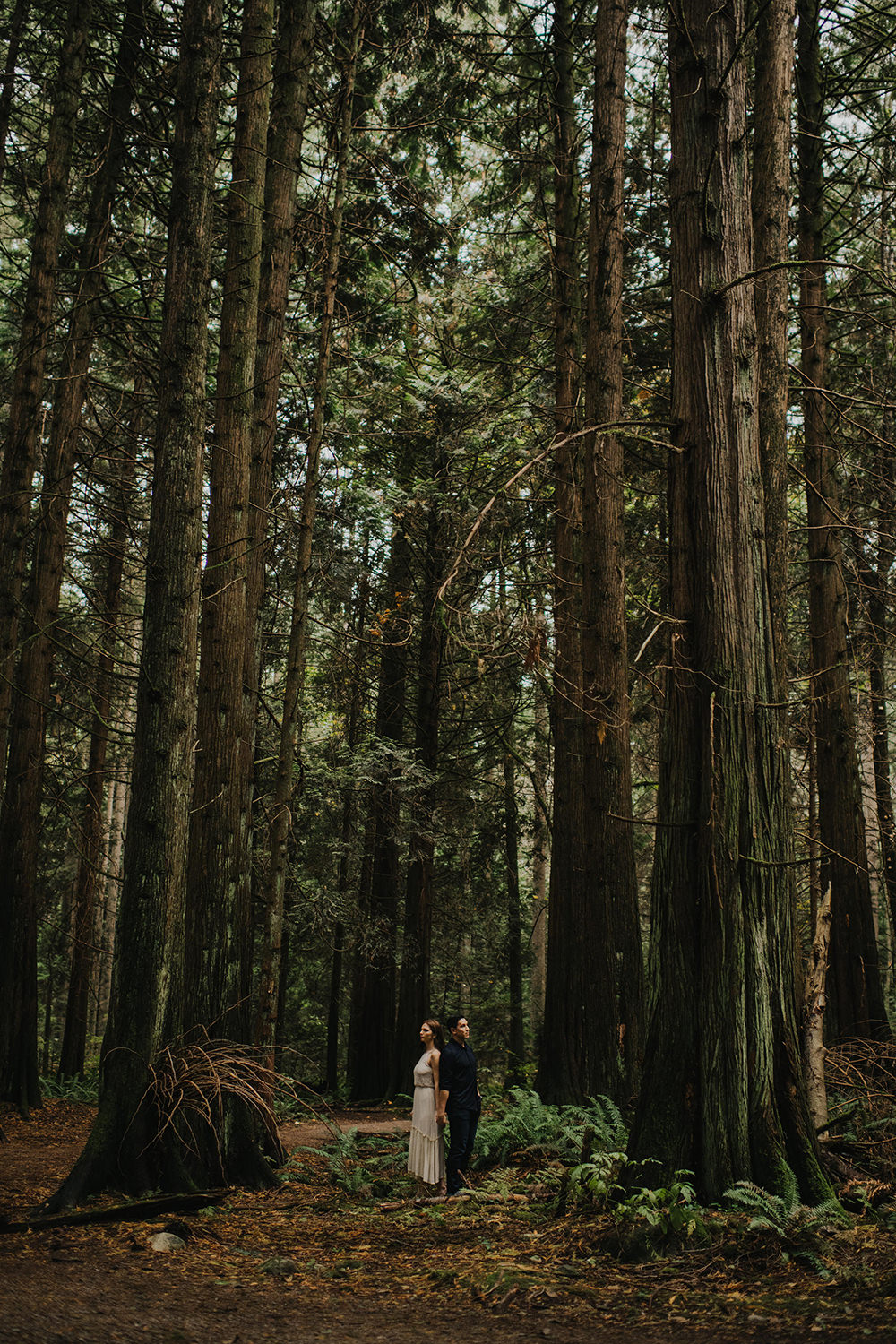 lush vancouver forest engagement