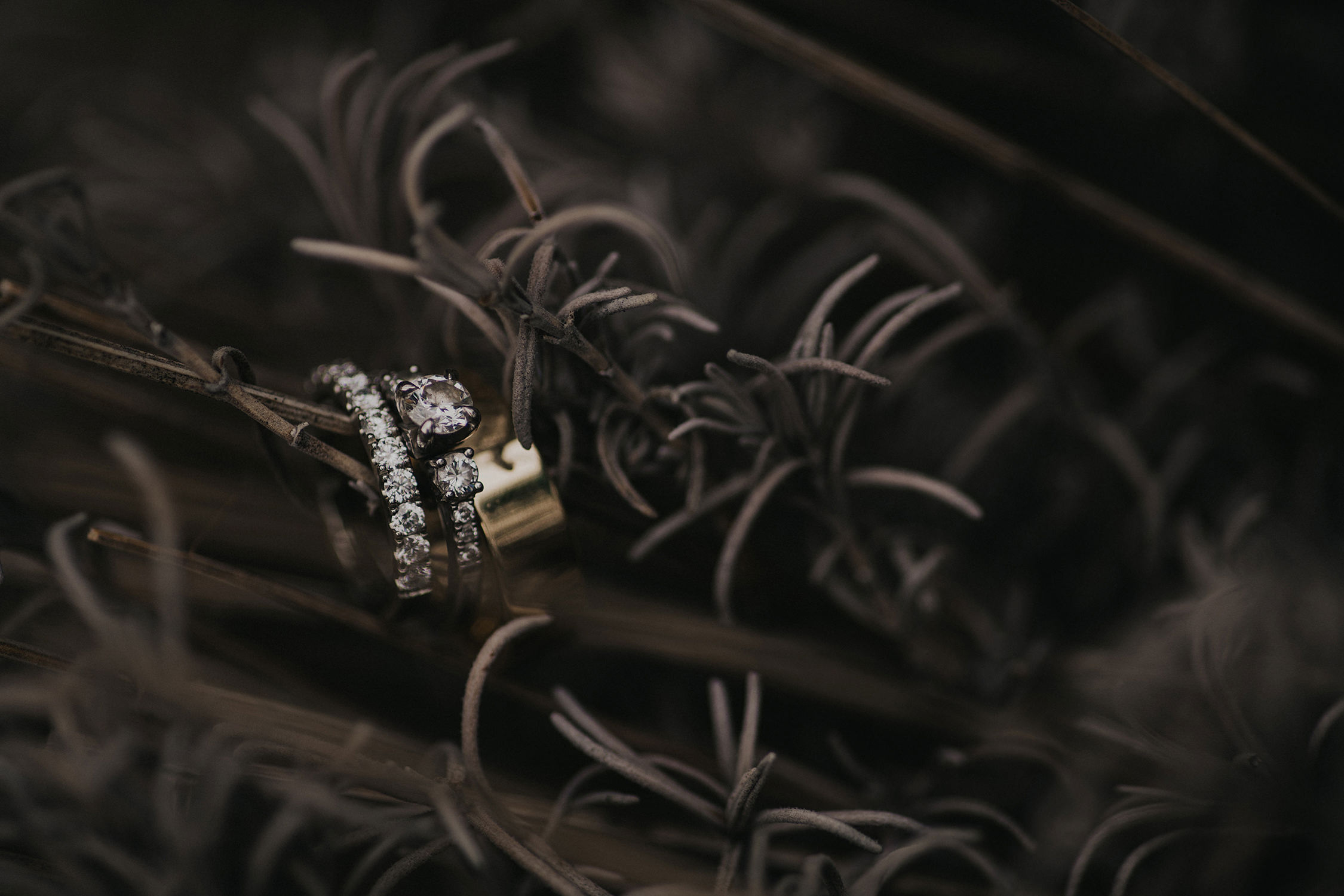 Wedding Rings captured at Fitzpatrick Winery