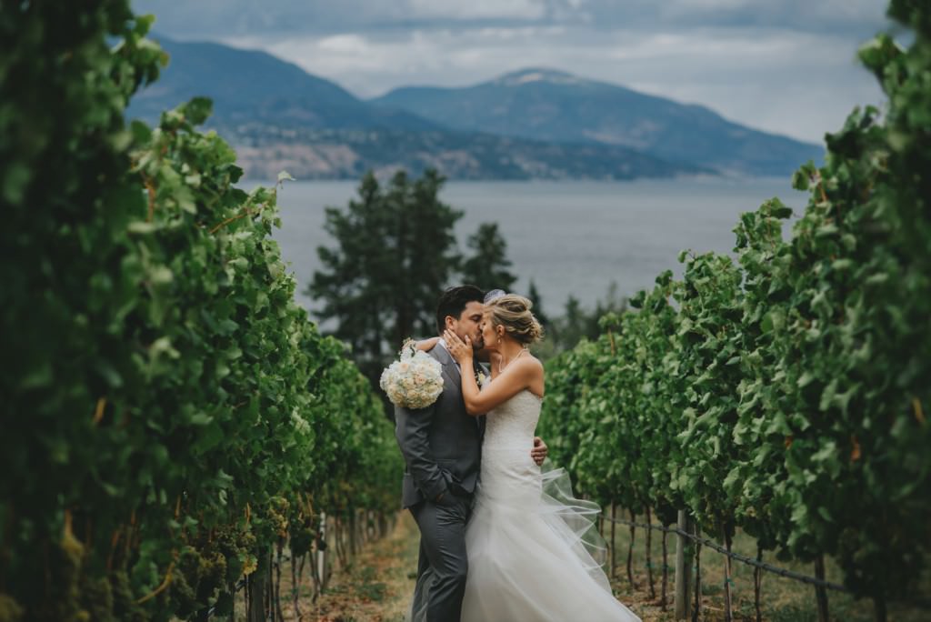 Gorgeous wedding couple in vineyard at cedar creek winery