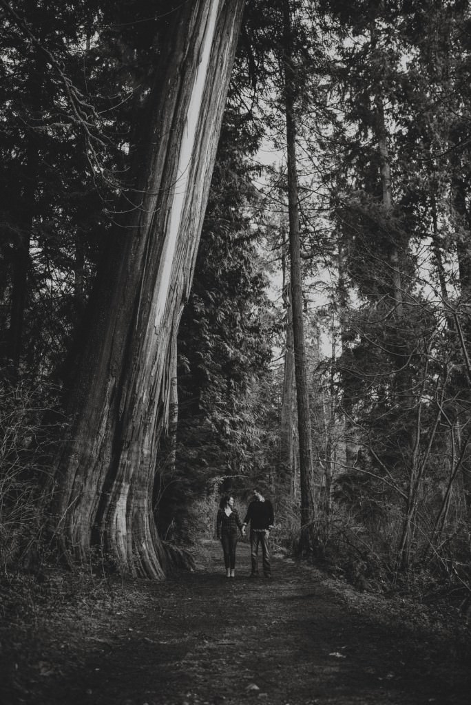 Giant BC tree in Engagement Session