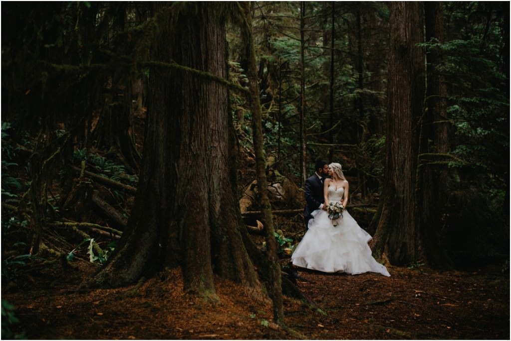 British Columbia Forest Wedding